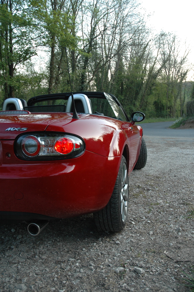 [Image: DSC_2523.jpg]