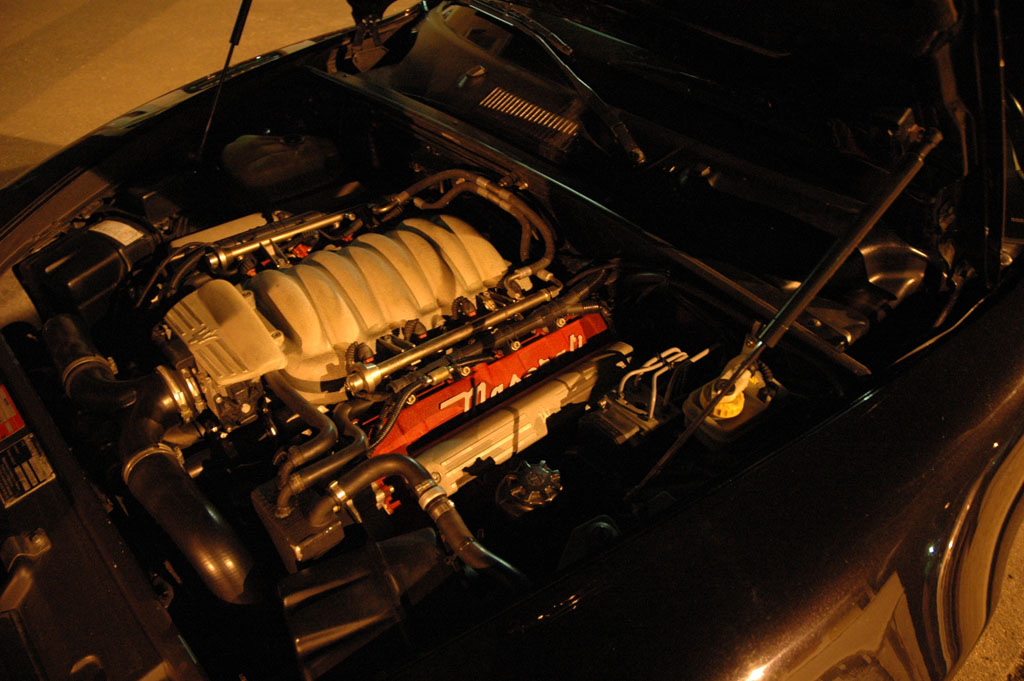 [Image: DSC_3153.jpg]